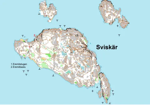 Sviskär 